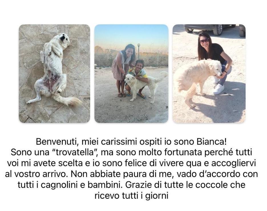 Cozzo Spadaro B&B Portopalo Di Capo Passero Екстер'єр фото